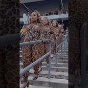 THEE Alabama State Honeybeez