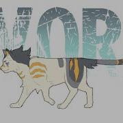 WORK Cat Walk Cycle