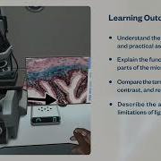 Light Microscopy Virtual Lab