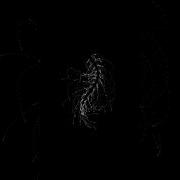 Wait Math Can Create THIS Algorithms Mathart Code Generativeart P5js Javascript