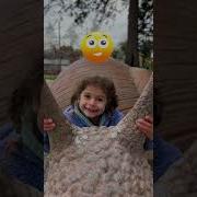 Opposite Words Challenge For Kids