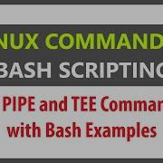 Linux Commands For Pipe And Tee Shell Scripting