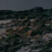 Vancouver Sleep Clinic Pop Goes Ambient Amelia Magdalena Riptide Audio