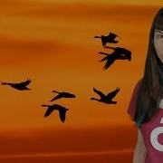 Как птицы узнают куда им лететь во время миграции