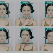 Real Time Face Expression Detection With YOLOv11n Emotion Recognition Using Deep Learning