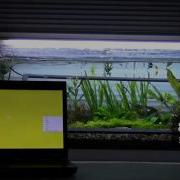 PQ Labs G4 Touch Screen True Waterproof Test Mp4