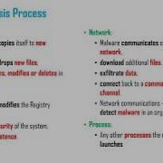 DYNAMIC ANALYSIS MODULE 1