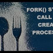 Create New Processes Using Fork