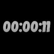 11 Second Timer