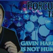 GAVIN HARRSION IS A CREATIVE MONSTER Porcupine Tree Hatesong Live REACTION