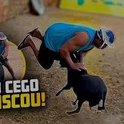 GALO CEGO FOI DERRUBADO PELO CARNEIRO CHICO RESENHAS DO GALO CEGO