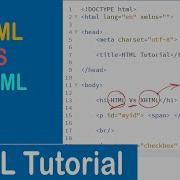 22 HTML Vs XHTML HTML Tutorial