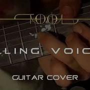 Tool Culling Voices Guitar Cover