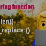 PHP Strlen Str Replace