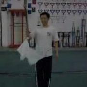 Cote 18 2005 Daoshu Basic Required Moves