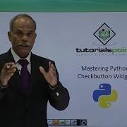 Python Check Button Widget