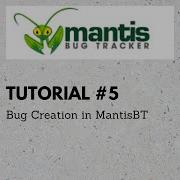 MANTISBT TUTORIAL 5 HOW TO LOG BUG IN MANTISBT ISSUE LOGGING IN MANTIS RAHUL QA LABS