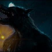 Werewolf Transformation Werewolves 2024