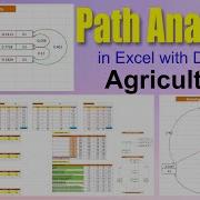 Path Analysis In Genetics Path Analysis Path Analysis In Genetics Complete Guide With Examples