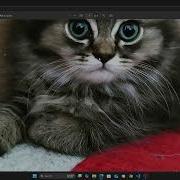 Converting Images To Pdf Using Python