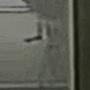 Pitfalls Bacteria Scream Backrooms Fyp Viral
