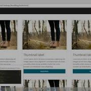 Rapid Bootstrap Tutorials Adding Custom Color And Style To The Site Packtpub Com
