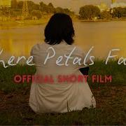 Where Petals Fall Official Short Film