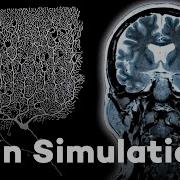 Mapping The Human Brain Can Machines Digitize The Mind In Silico Documentary 2020