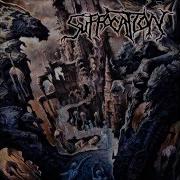 4 Surgery Of Impalement