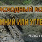 Исходный код Кремний или Углерод На Земле лесов нет ЕСТЬ КУСТЫ Часть 2