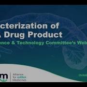 Characterization Of MRNA Drug Product