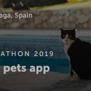 Gravitywell Hackathon 2019 Highlights