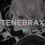 Tenebrax Entropia