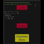 Junior Vs Senior Developer Coding Programming Python Shorts