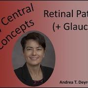 Medical School Pathology Retinal Pathology Glaucoma