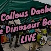 The Callous Daoboys Fake Dinosaur Bones LIVE