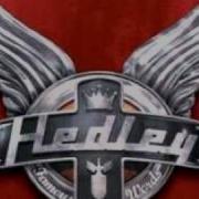 Hedley Bone Shatter Never Say Never