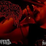SANGUISUGABOGG Live At Necrofest June 3rd 2023 FULL SET