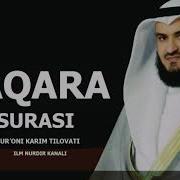 BAQARA SURASI By Mishary Rashid Alfasay