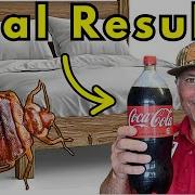 Самодельная ловушка для постельных клопов которая действительно работает