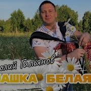 ПЕСНЯ ЗА ДУШУ БЕРЕТ РОМАШКА БЕЛАЯ