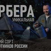 Mesh сеть из русских дронов на СВО Украина как на ладони