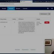 Expose Gitea To Internet From A Private Network Using Packetriot