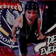 HATEBREED DESTROY EVERYTHING DRUM COVER By FRANKY COSTANZA