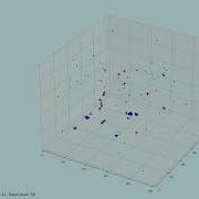 FFR120 Simulation Of Boid Predator System