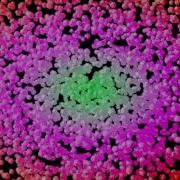 Modo Particles Test