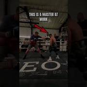 Incredible Boxing Head Movement