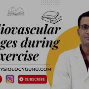Unleash Your Heart Exploring The Incredible Cardiovascular Transformations During Exercise