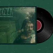 Hozier Moment S Silence Common Tongue Slowed