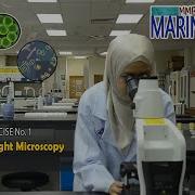 MMB3307 Marine Primary Producer Lab1 Basic Skills In Light Microscopy